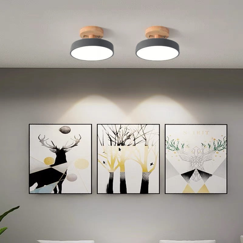 Colora | Plafonnier LED Semi-Encastré aux Finitions Colorées