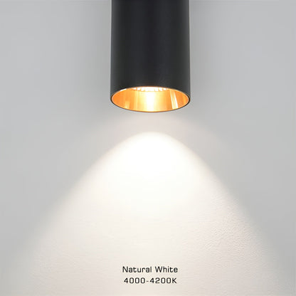 GeminiGlow – Gouden wandlamp met cilindrisch ontwerp LED